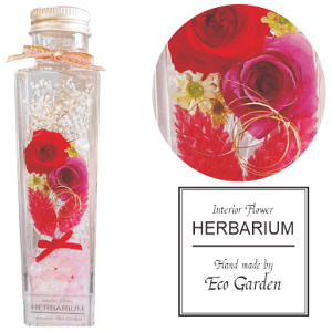 117 i2022N9lCio[3)@KN(2)ƃ|Avc n[oE herbarium vU[uht[  bsO bZ[WJ[h   lC Mtg v[g 