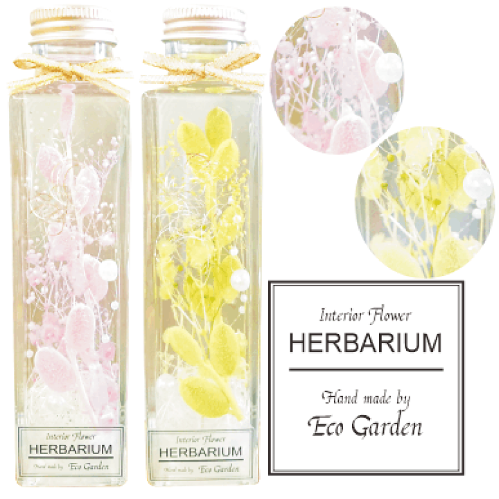 楽天市場】092 フィビキア ピンク グリーン ハーバリウム herbarium 