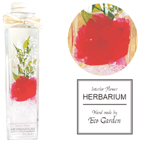 078 カーネーション ストロベリー ハーバリウム herbarium プリザーブドフラワー ドライフラワー 送料無料 ラッピング無料 メッセージカード無料 花 おしゃれ 人気 ギフト プレゼント フラワー 華やか 豪華 インテリア 雑貨 誕生日 お祝い お返し 記念日 母の日