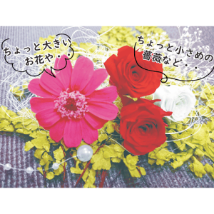 プリザーブドフラワー 訳あり」の人気商品一覧 | 安い商品を通販サイト