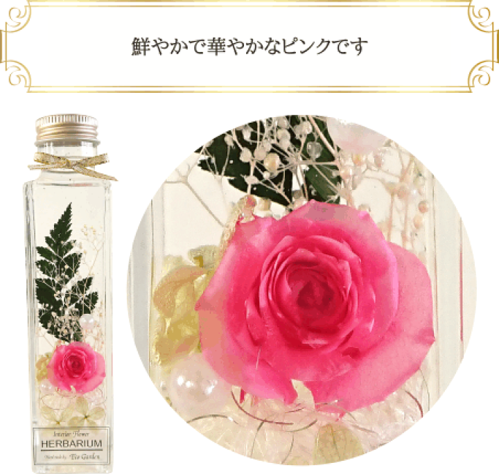 楽天市場】020 薔薇 ピンク pink ハーバリウム herbarium プリザーブド 