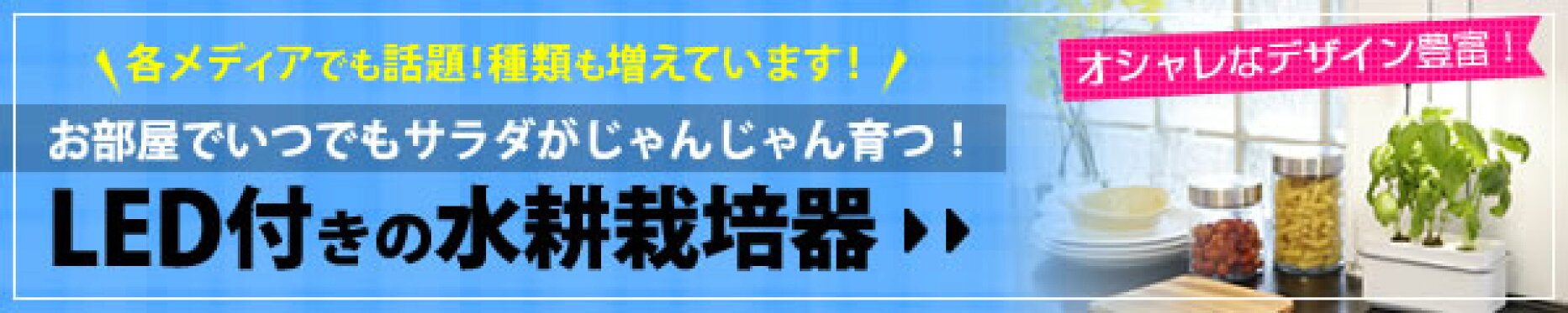 ギフト特集