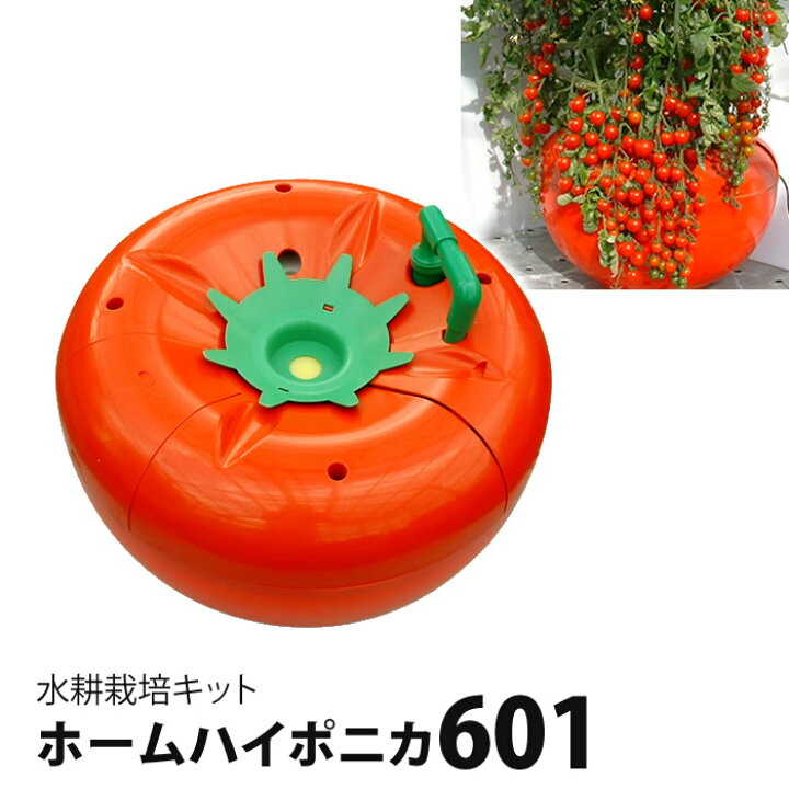 楽天市場】水耕栽培キット ホームハイポニカ601 ハイポニカ肥料付 : 水 