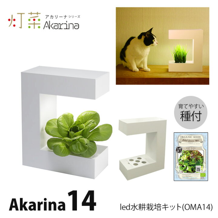 楽天市場 Led 水耕栽培 おしゃれ 家庭菜園 キット 水耕栽培キット アカリーナ Akarina14 Oma14 観葉植物 インテリア あす楽 水耕栽培専門店のエコゲリラ