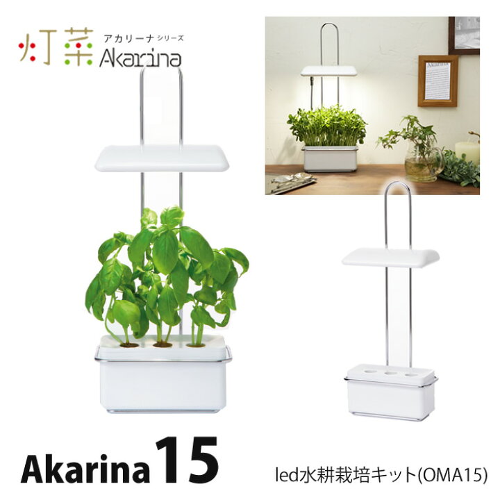 楽天市場】水耕栽培キット LED 室内 水耕栽培 おしゃれ 家庭菜園  