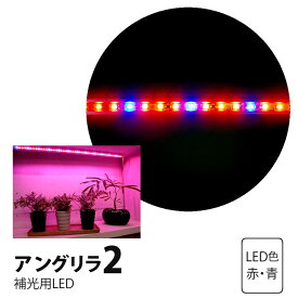 楽天市場 光合成 照射 ライト 花 ガーデン Diy の通販