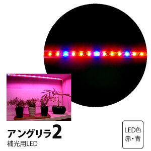 A琬 LED AO2 Ip LEDCg X }Olbgt 