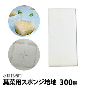 用土 スポンジ 水耕栽培の人気商品 通販 価格比較 価格 Com