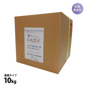 엿 nL _C`zETC 10kg Zk^Cv _ƃvp e JE WKC ʂ˂ ؗ nUP yyz