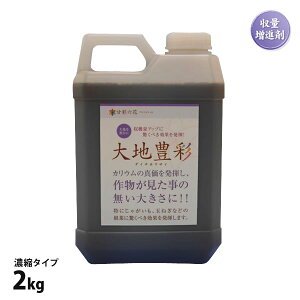 엿 nL _C`zETC 2kg Zk^Cv JE WKC ʂ˂ ؗ nUP yyz
