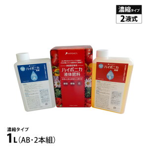 nC|jJ 1L t AEBt2{g z[nC|jJ k͔|