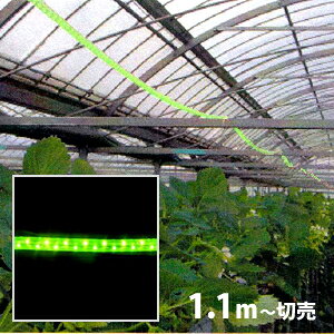 hpLED[vCg[] hH ؔ  h΍ɌʓIȌ