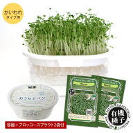 【1000円ポッキリ】ブロッコリースプラウト 栽培 キット 栽培セット 有機種子 スプラウト栽培 種 2袋付 …