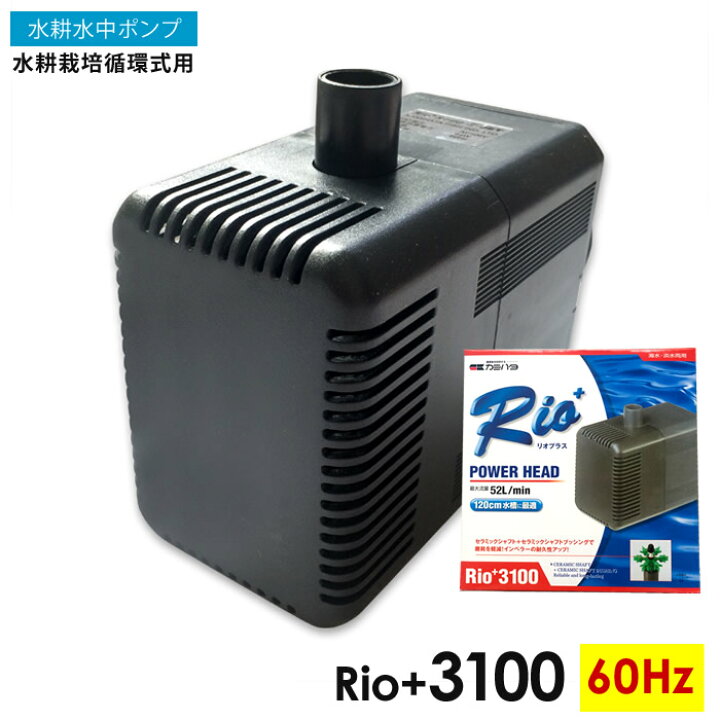 楽天市場 水中ポンプ 水耕栽培 循環式 Rio 3100 60hz 自作水耕栽培 小 中規模 水耕栽培 システム プラント あす楽 水耕栽培専門店のエコゲリラ