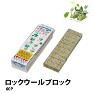 ロックウール ブロック 60P ミネラル豊富 植物用 培地 (30mm角×60個) 簡単 水耕栽培 土栽培