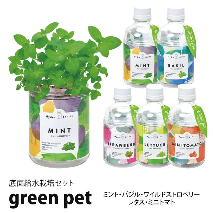 楽天市場】水耕栽培 キット ペットボトル 底面給水栽培セット ハーブ 