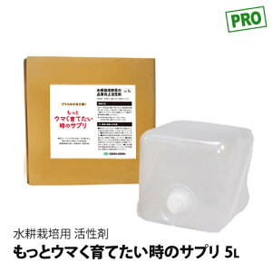 k͔| 엿  ƃE}ẴTv ܃Tv 5L(5kg) t ǔ t̔엿 _ 엿 g}g _Ǝ _Ɨp ƒ؉ |pi   ͔| K[f _Ɨp K[fj