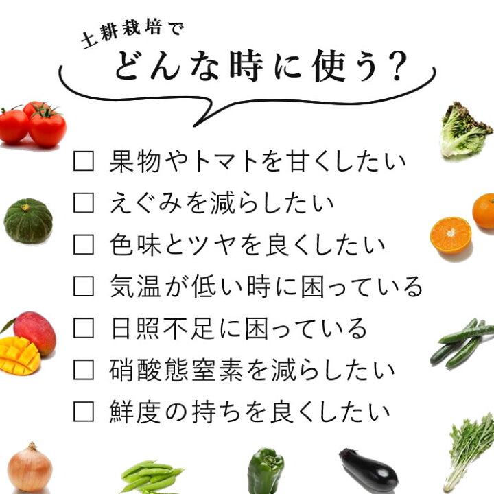 楽天市場 水耕栽培 家庭菜園 野菜 加りん糖 かりんとう 2l 農業 甘く 育つ あす楽 水耕栽培専門店のエコゲリラ