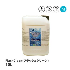 eANAeBJ FlashClean tbVN[ 엿