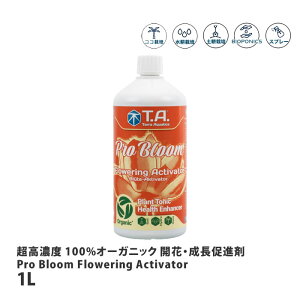 eANAeBJ 100%I[KjbN JԁEi vu[t[OANeBx[^[