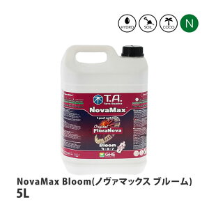 eANAeBJ NovaMax Bloom m@}bNX u[