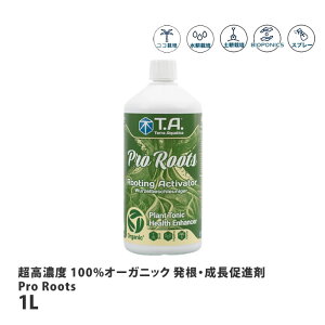 eANAeBJ Zx 100%I[KjbN Ei Pro Roots v[cy񏤕iz