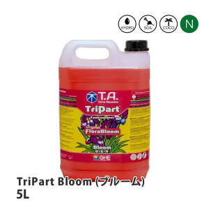 eANAeBJ TriPart Bloom gp[g u[