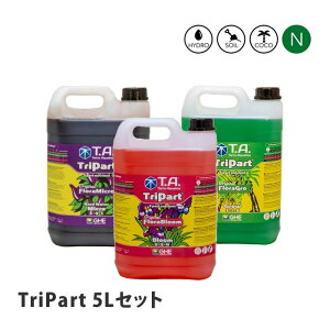 eANAeBJ TriPart gp[g Zbg