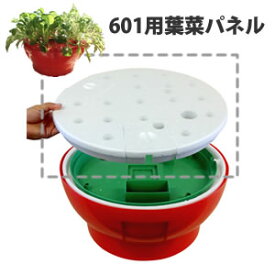 ホームハイポニカ601用 水耕栽培 葉菜用 パネル 水耕栽培キット 葉もの野菜 栽培