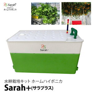 k͔|Lbg k͔| Lbg ͔|Zbg nC|jJ Sarah+ TvX k͔|u k͔|  ƒ؉  ȒP ͔| t 엿 t̔엿