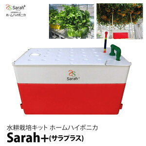 k͔|Lbg k͔| Lbg ͔|Zbg nC|jJ Sarah+ TvX k͔|u k͔|  ƒ؉  ȒP ͔| t 엿 t̔엿