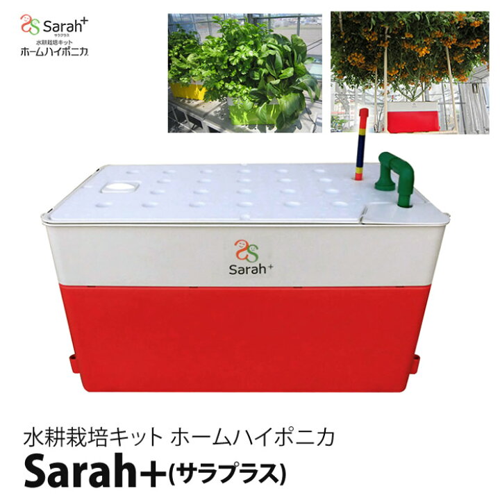 楽天市場】水耕栽培キット 水耕栽培 キット 栽培セット ハイポニカ 