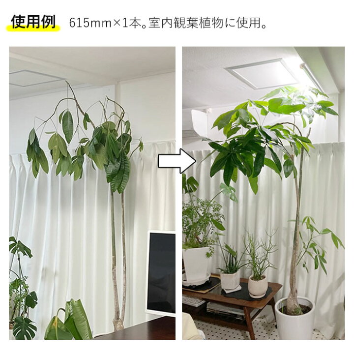 楽天市場】植物育成ライト led 水耕栽培 ledライト GG新型おやさい  