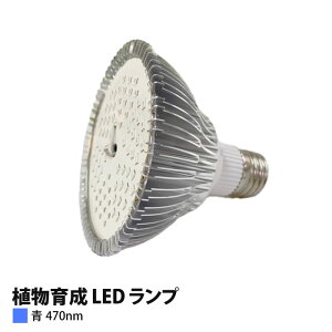 A琬Cg LED vij100W PAR30-470nm y㋉Ҍz
