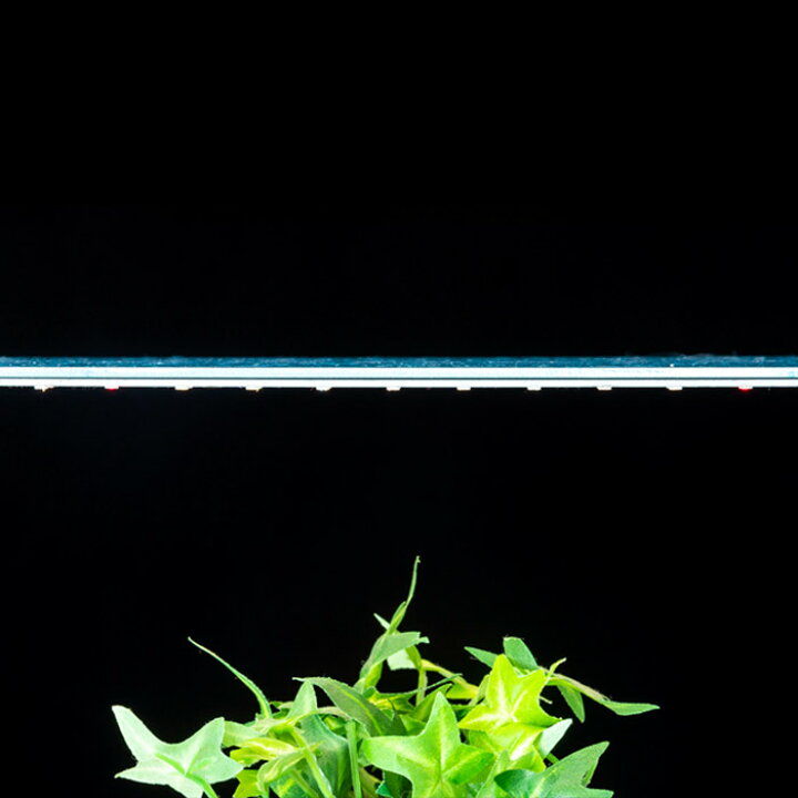 楽天市場】水耕栽培 植物育成灯 ソダテック 超薄型 LED 01 100W 