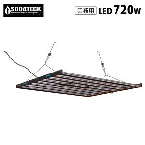 k͔| A琬 \_ebN LED 720W Ɩp Sodateck 