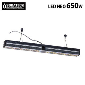 k͔| A琬 \_ebN LED NEO 650W Sodateck 