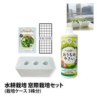 水耕栽培キット 栽培キット 窓際菜園セット 栽培ケース 3株分 液肥 液体肥料 スポンジ 培地 種 有機種子 …