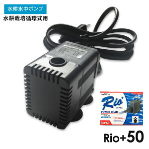 |v k͔| z Rio+50 쐅k͔| ȏ̃[U[ɐlC zk͔|