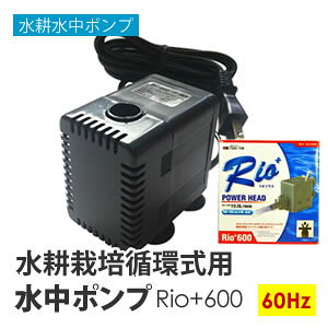 �����|���v ���k�͔| �z�� Rio+600 ���쐅�k�͔| �z�����k�͔|