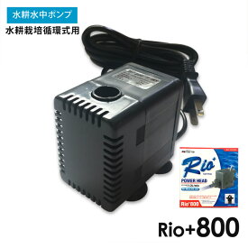 水中ポンプ 水耕栽培 循環式 Rio+800 自作水耕栽培 小〜中規模 水耕栽培 システム プラント