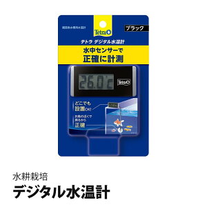 k͔| fW^v  eg ubN BD-1 OZT[tfW^xv  ANAE