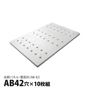k͔|p kpl AB42 t، 10g(AB-42) t͔| 