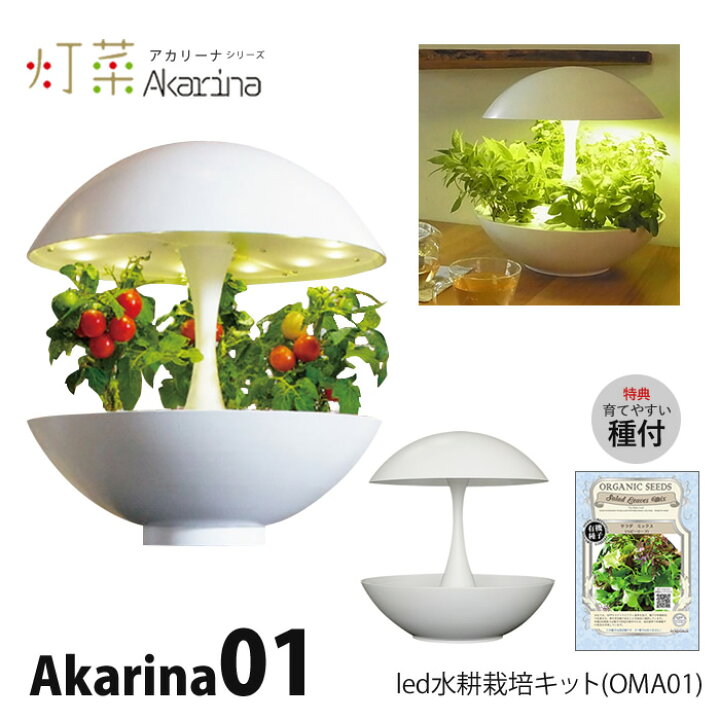 楽天市場】水耕栽培キット LED 室内 水耕栽培 おしゃれ 家庭菜園  