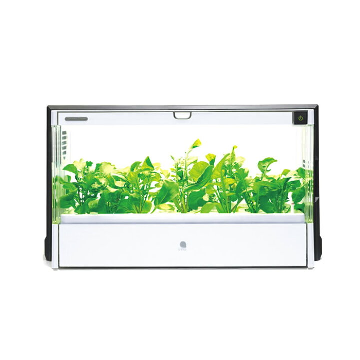楽天市場】【販売終了】水耕栽培器 グリーンファーム GreenFarm ※お 
