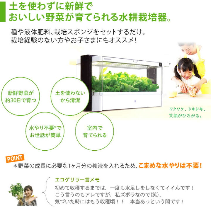 楽天市場】【販売終了】水耕栽培器 Green Farm グリーンファーム 当店 