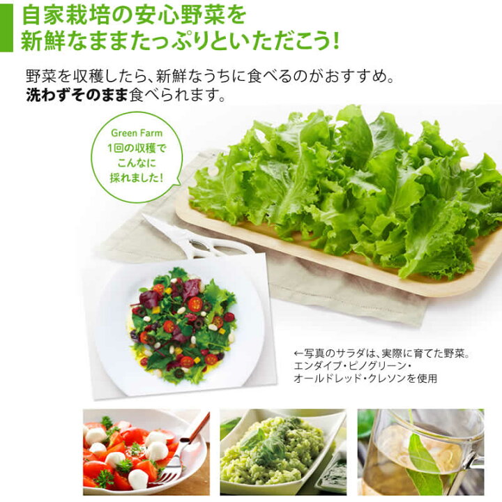 楽天市場】【販売終了】水耕栽培器 Green Farm グリーンファーム 当店 