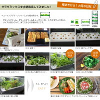 楽天市場 販売終了 水耕栽培器 Green Farm Cube グリーンファーム キューブ ホワイト 当店特典付 Led 水耕栽培キット ユーイング Uh Cb01g1 水耕栽培専門店のエコゲリラ 楽天市場 販売終了 水耕栽培器 Green Farm Cube グリーンファーム キューブ ホワイト 当店特典付 Led 水耕栽培キット ユーイング Uh Cb01g1 水耕栽培専門店のエコゲリラ