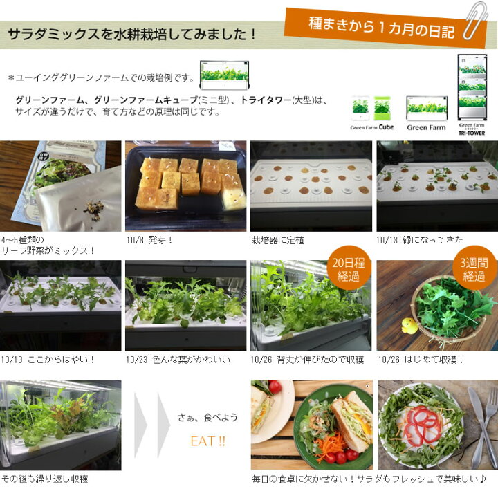 楽天市場】【販売終了】水耕栽培器 Green Farm グリーンファーム 当店 