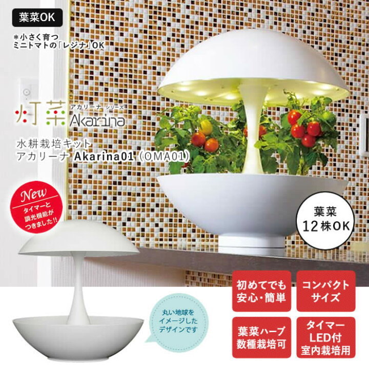 楽天市場】水耕栽培キット LED 室内 水耕栽培 おしゃれ 家庭菜園 